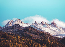 大发体育：开启你的极致运动体验